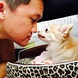 Profile picture for client 'alvin.seet', showing a person affectionately touching noses with a small, light-colored dog in a leopard-print pet bed, a satisfied PCExperts101 customer.